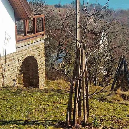 Kőrózsa Tihany